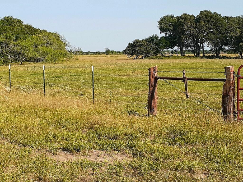 000 County Rd 245  , Kosse, Texas image 7