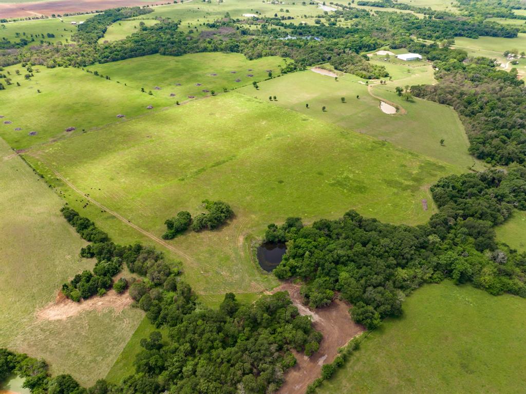 000 County Rd 245  , Kosse, Texas image 9