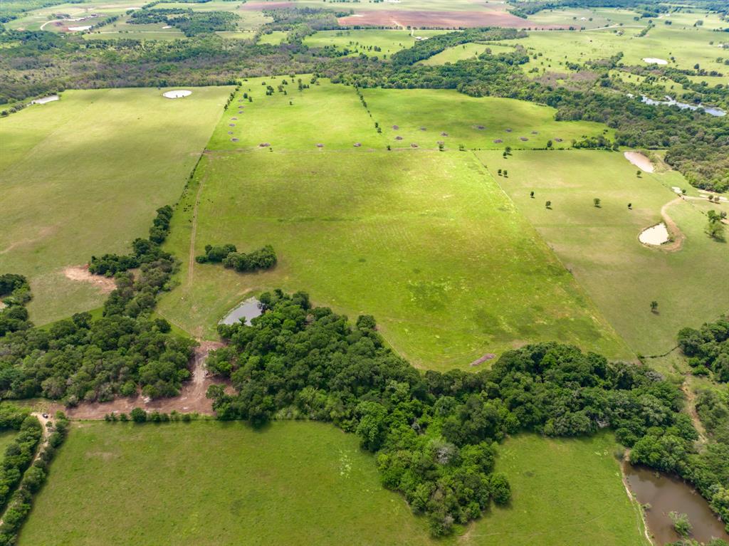 000 County Rd 245  , Kosse, Texas image 10