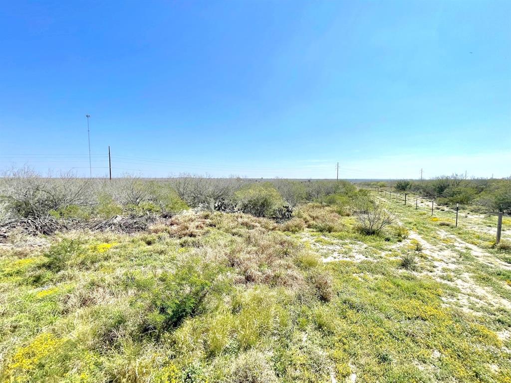 2991 N Highway 83  , Roma, Texas image 38