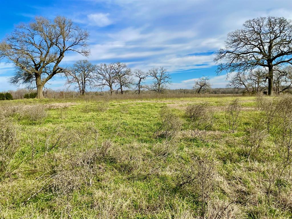 TBD Highway 7  , Franklin, Texas image 13