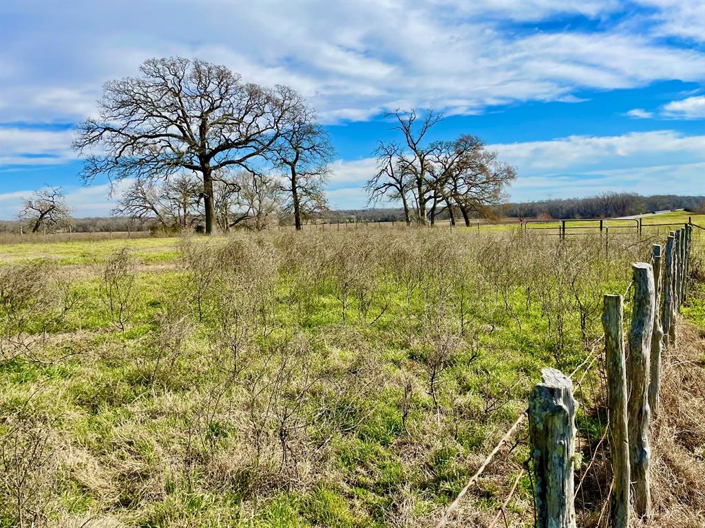 TBD Highway 7  , Franklin, Texas image 8