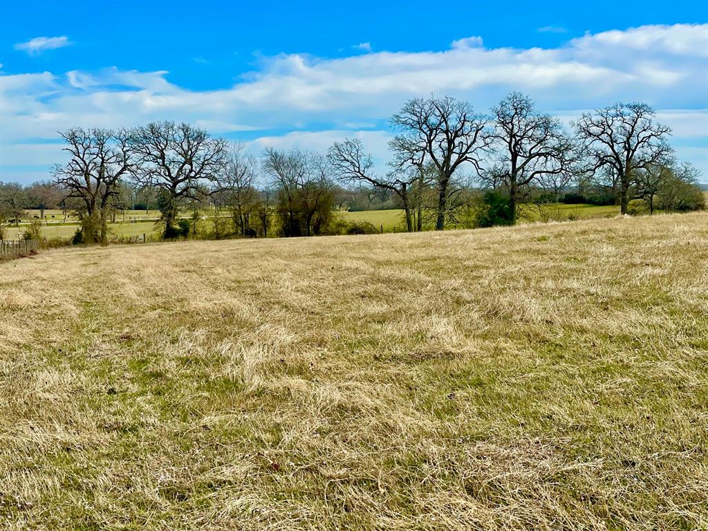 TBD Reagan Loop , Franklin, Texas image 13