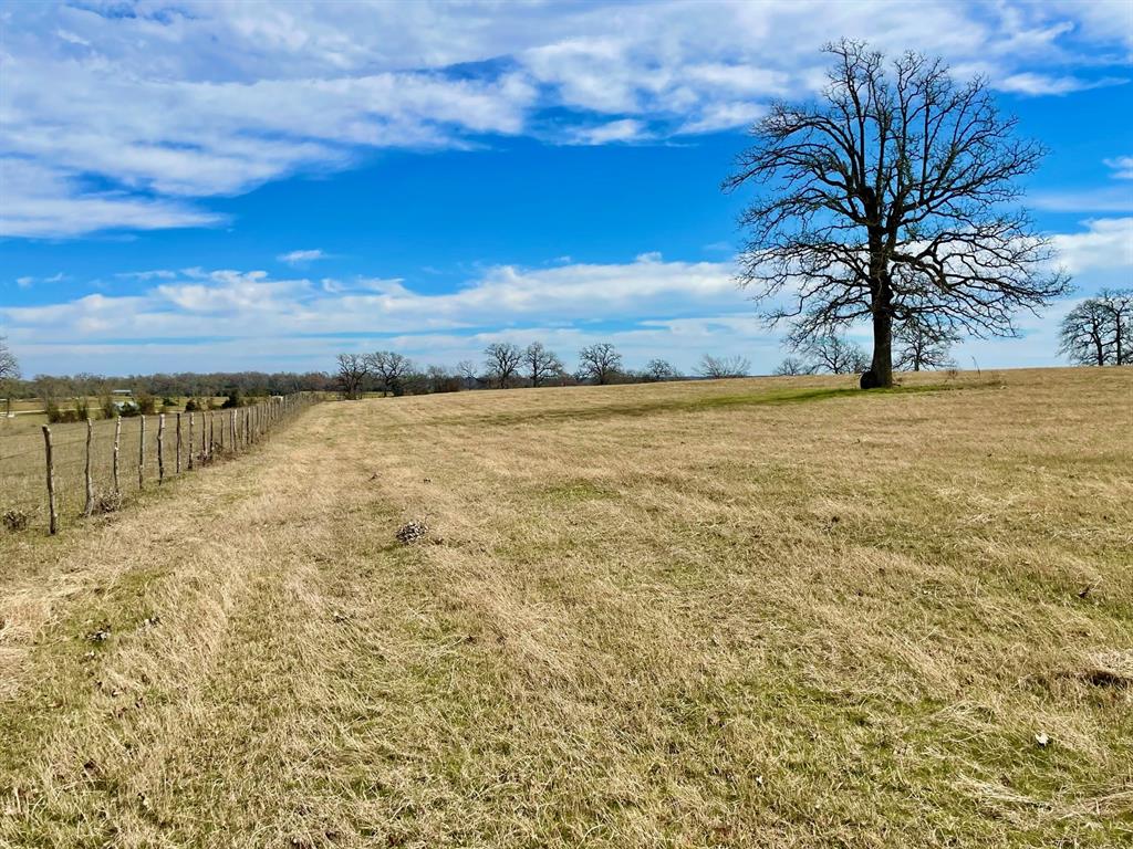 TBD Reagan Loop , Franklin, Texas image 15