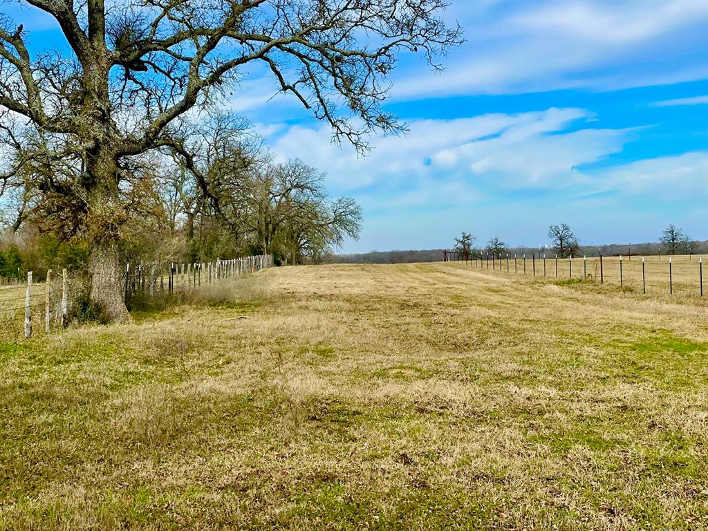 TBD Reagan Loop , Franklin, Texas image 16