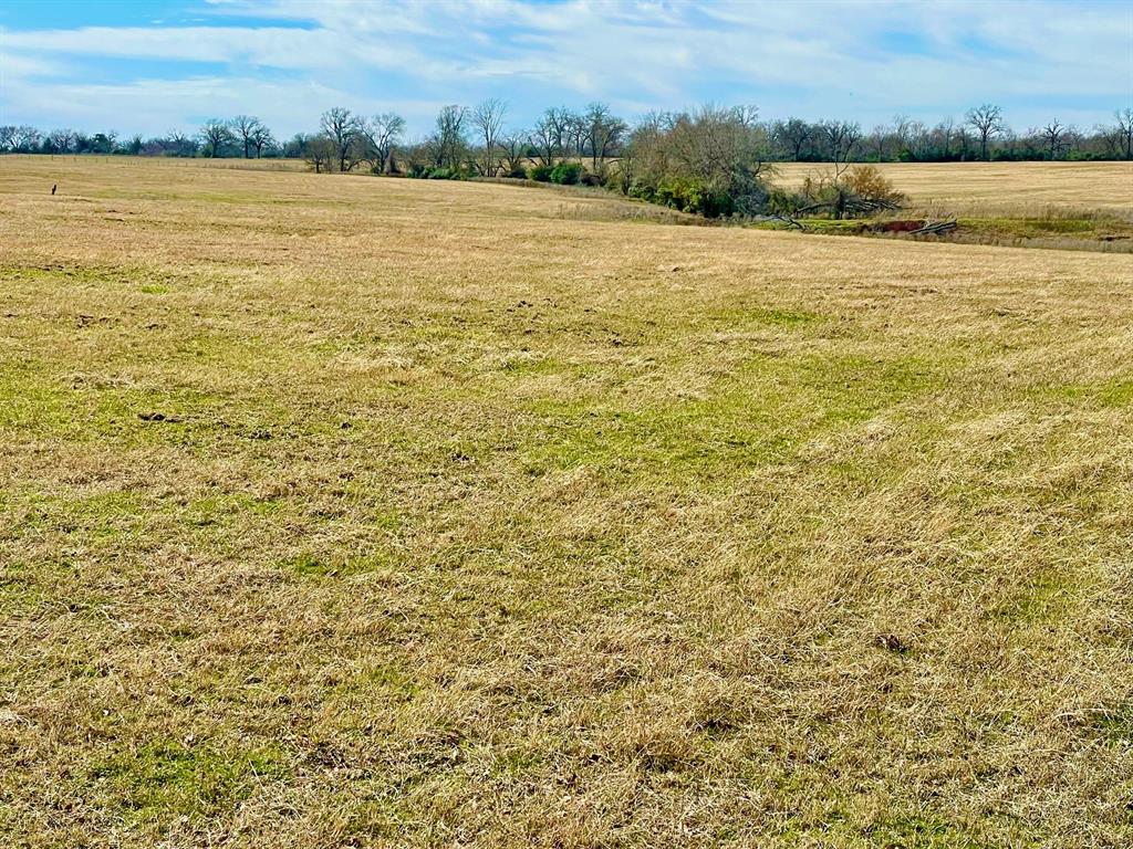 TBD Reagan Loop , Franklin, Texas image 18