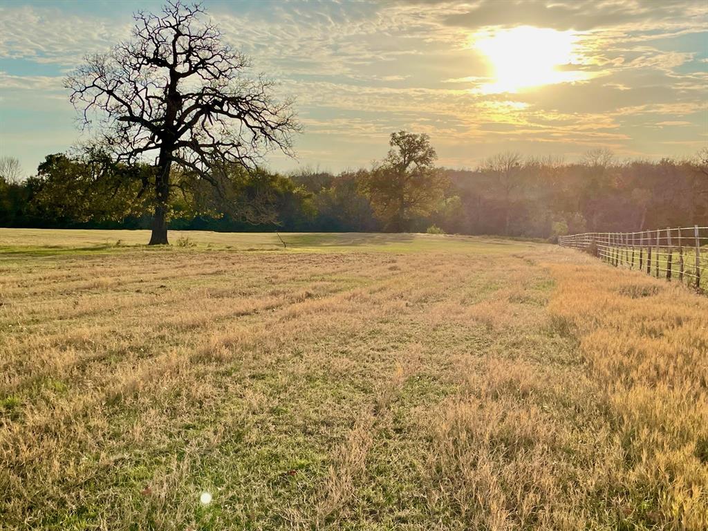 TBD Reagan Loop , Franklin, Texas image 4