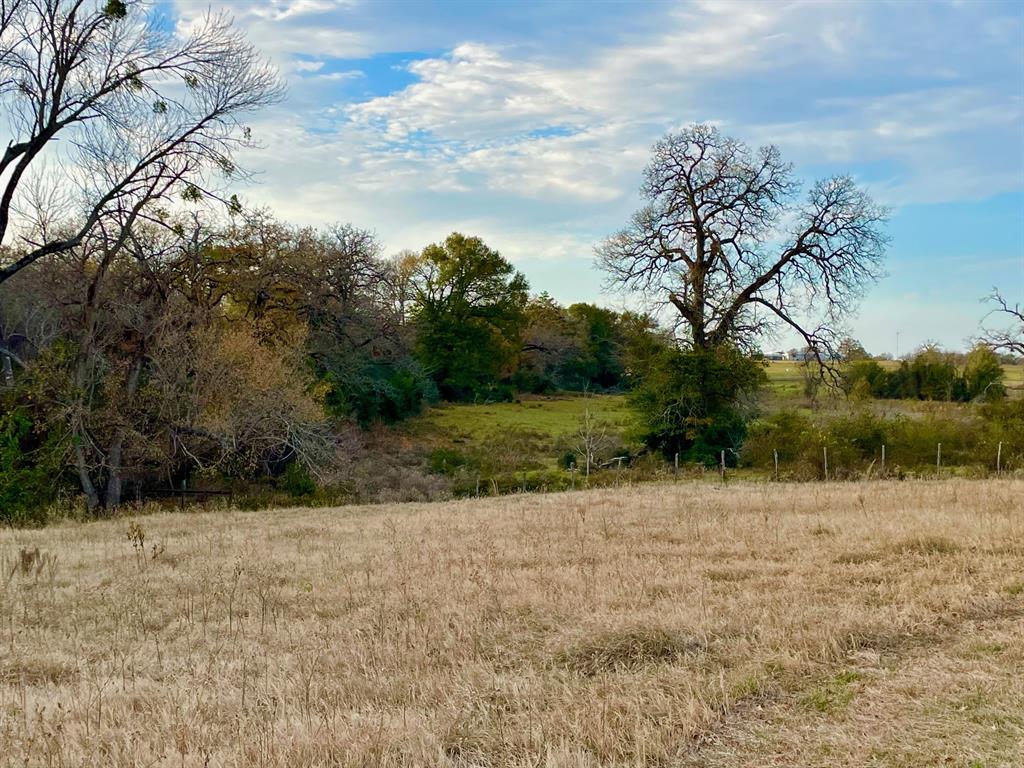 TBD Reagan Loop , Franklin, Texas image 5