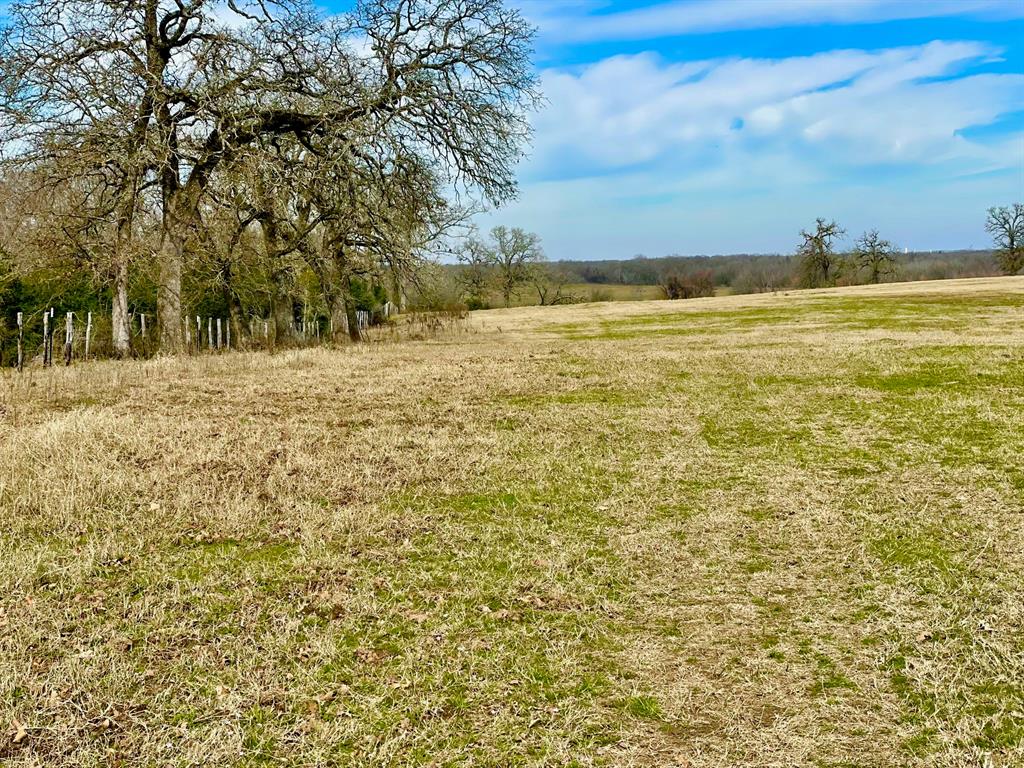 TBD Reagan Loop , Franklin, Texas image 6