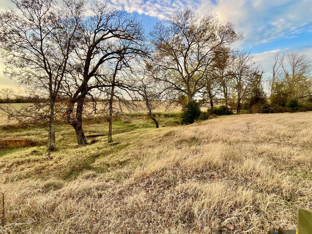 TBD Reagan Loop , Franklin, Texas image 7