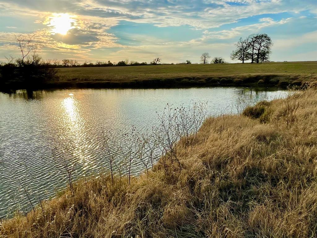 TBD Reagan Loop , Franklin, Texas image 8