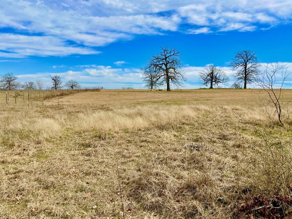 TBD Reagan Loop , Franklin, Texas image 9