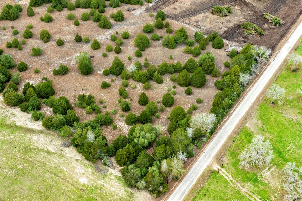 Tract 5 Cr 226  , Schulenburg, Texas image 11