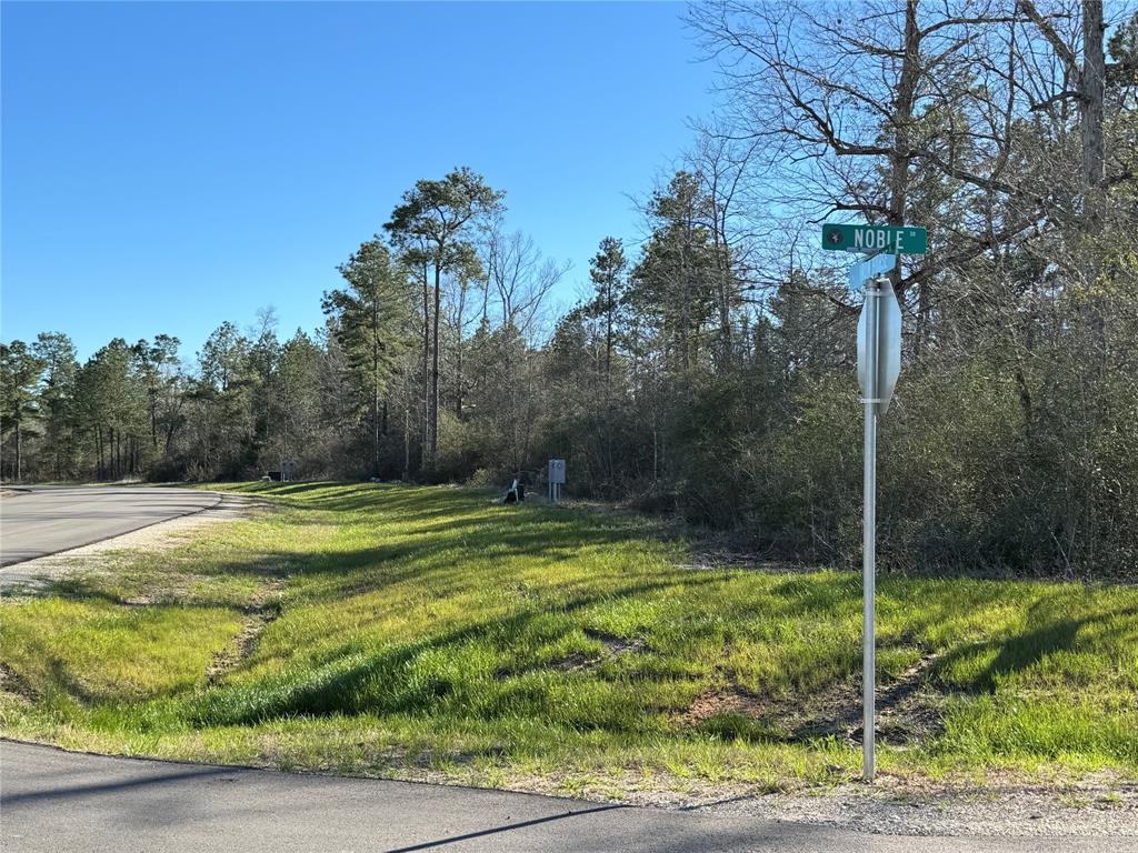 109 Noble Drive , New Waverly, Texas image 8