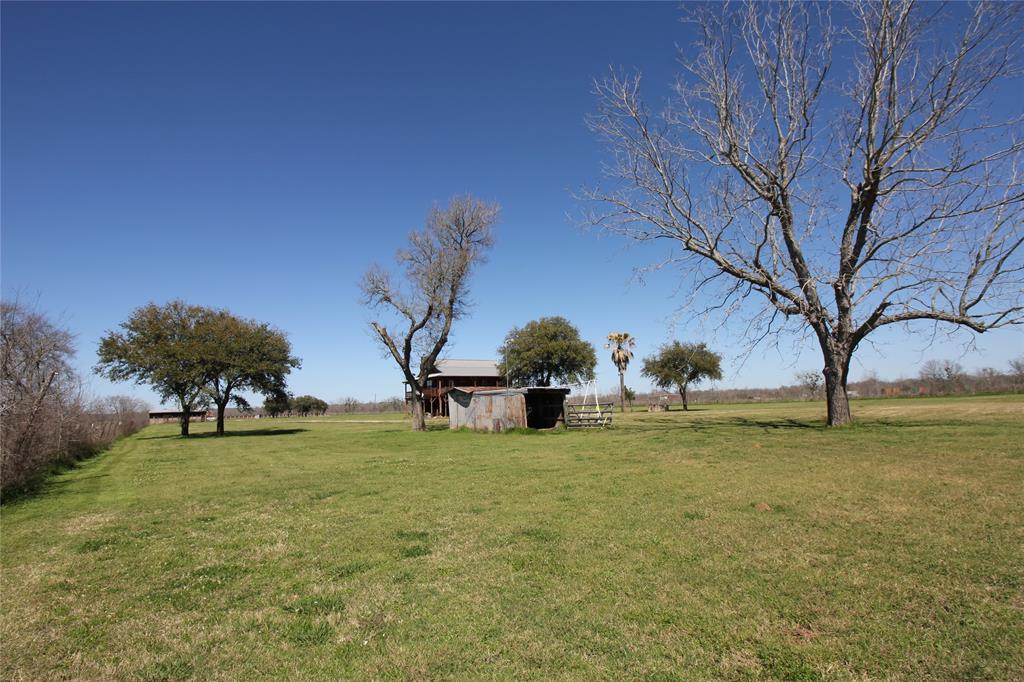 Back View from Brazos River