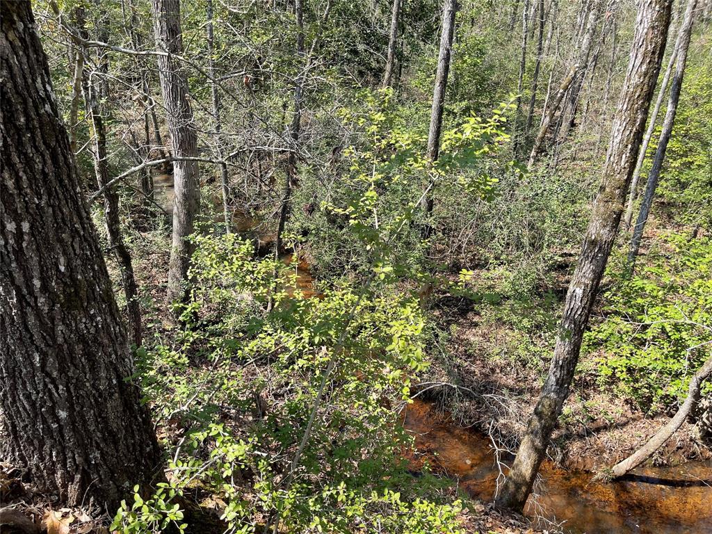 TBD Fcr 316  , Oakwood, Texas image 17