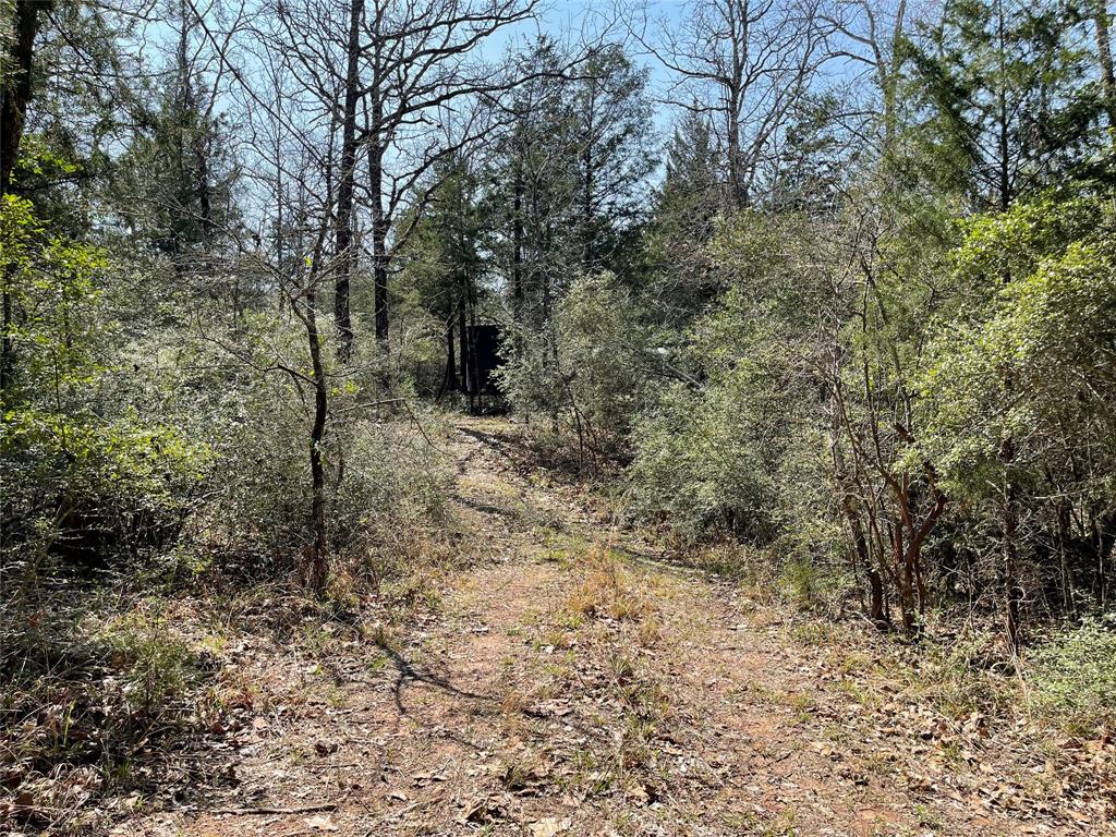 TBD Fcr 316  , Oakwood, Texas image 8