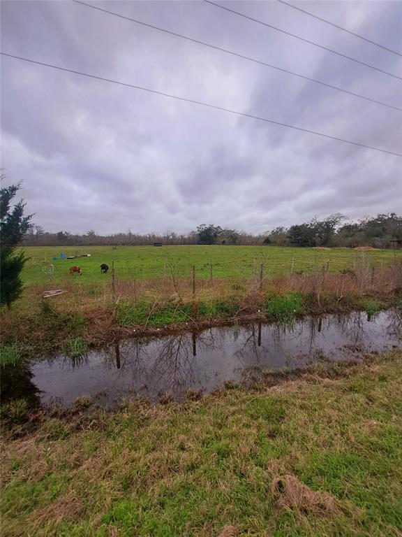 000 County Road 461  , Brazoria, Texas image 4