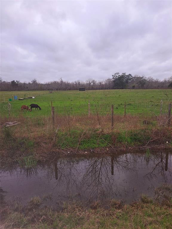 000 County Road 461  , Brazoria, Texas image 6