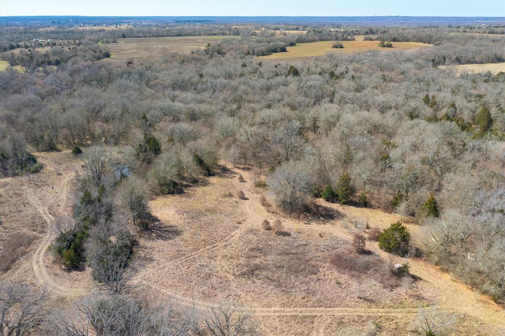 51.72+/- Acres Vz County Road 1121  , Grand Saline, Texas image 11