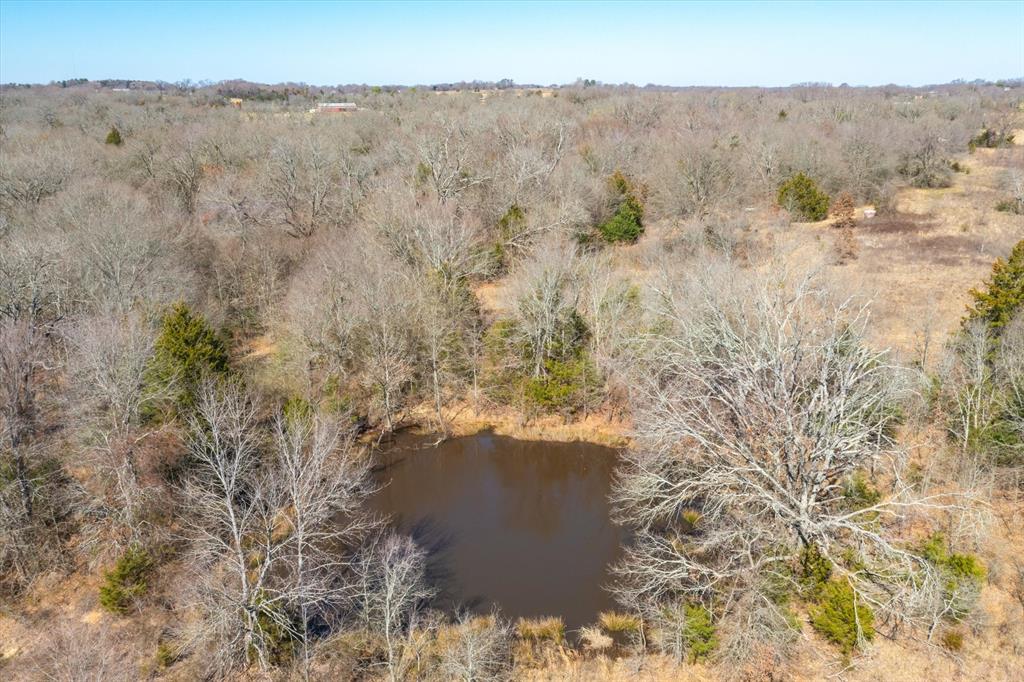 51.72+/- Acres Vz County Road 1121  , Grand Saline, Texas image 13