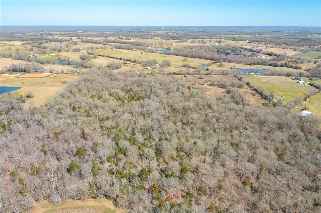 51.72+/- Acres Vz County Road 1121  , Grand Saline, Texas image 15