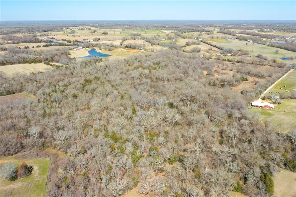 51.72+/- Acres Vz County Road 1121  , Grand Saline, Texas image 17