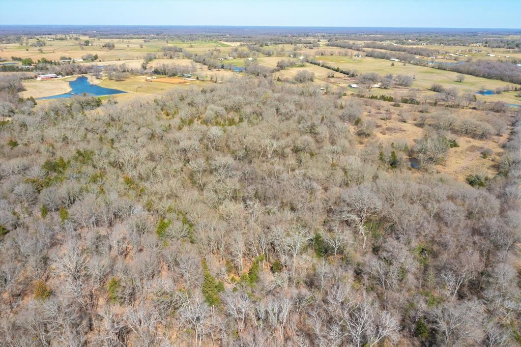 51.72+/- Acres Vz County Road 1121  , Grand Saline, Texas image 18