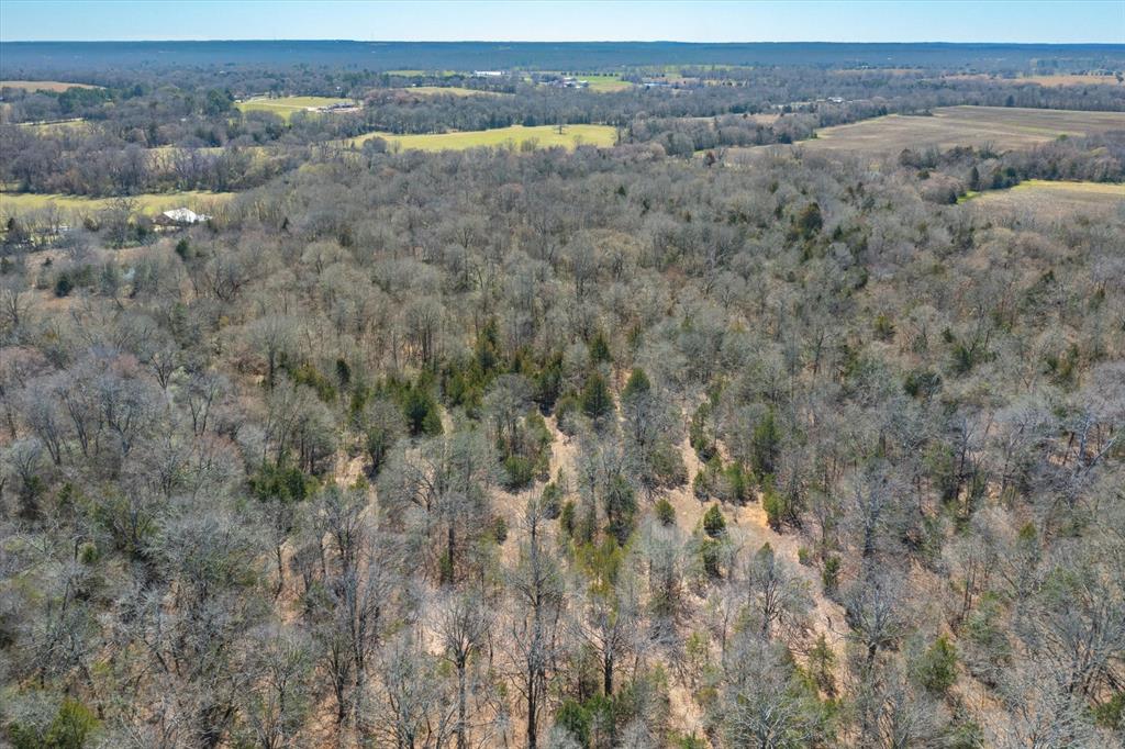 51.72+/- Acres Vz County Road 1121  , Grand Saline, Texas image 9