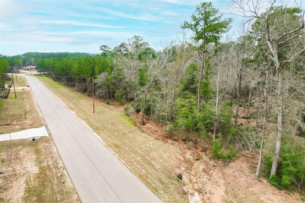 BLOCK 36 LOT 2 Larkspur Lane , New Waverly, Texas image 11