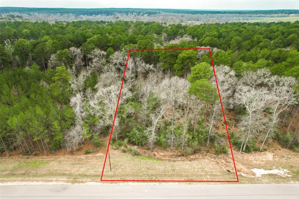 BLOCK 36 LOT 2 Larkspur Lane , New Waverly, Texas image 12