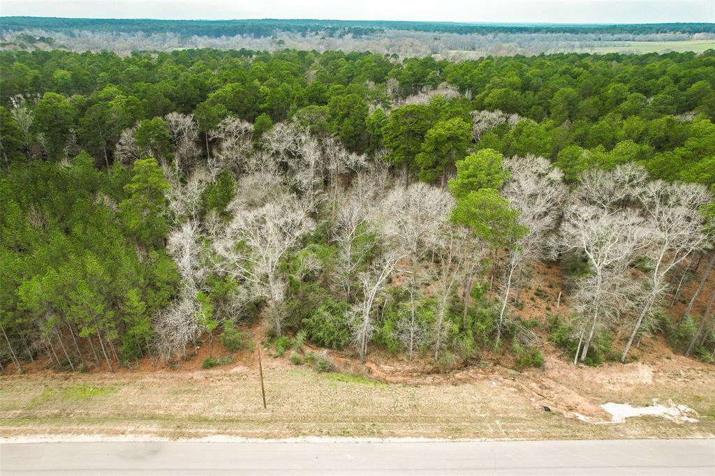 BLOCK 36 LOT 2 Larkspur Lane , New Waverly, Texas image 13