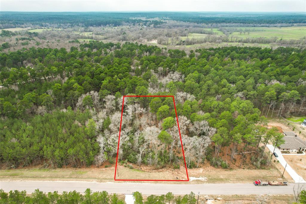 BLOCK 36 LOT 2 Larkspur Lane , New Waverly, Texas image 14