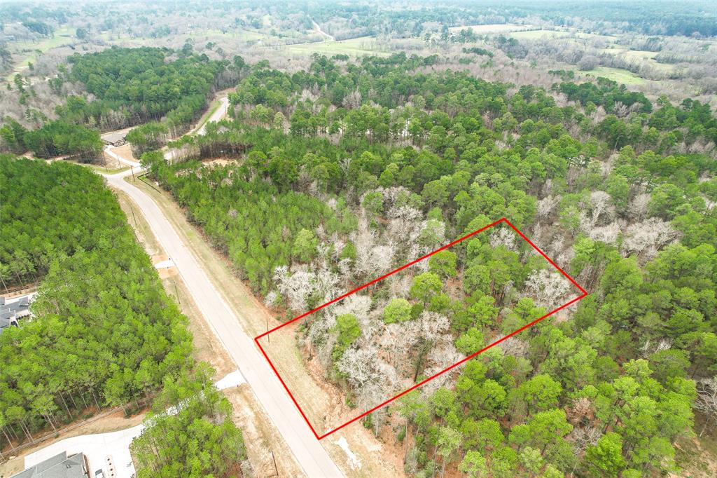 BLOCK 36 LOT 2 Larkspur Lane , New Waverly, Texas image 16