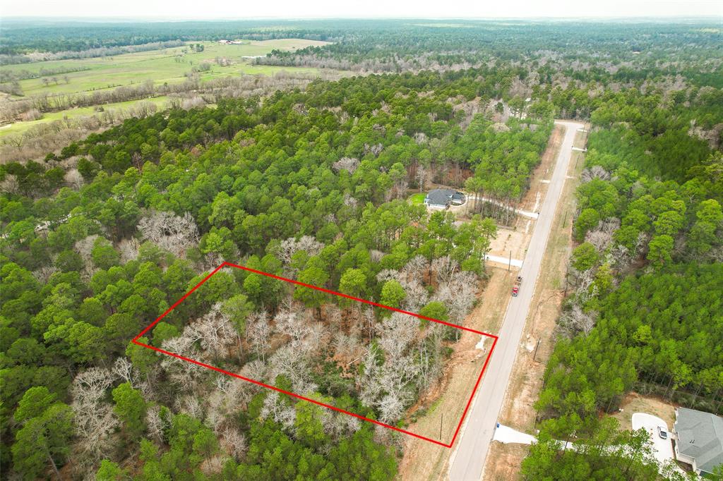 BLOCK 36 LOT 2 Larkspur Lane , New Waverly, Texas image 24