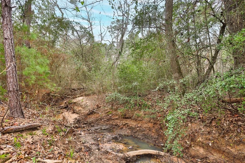 BLOCK 36 LOT 2 Larkspur Lane , New Waverly, Texas image 9