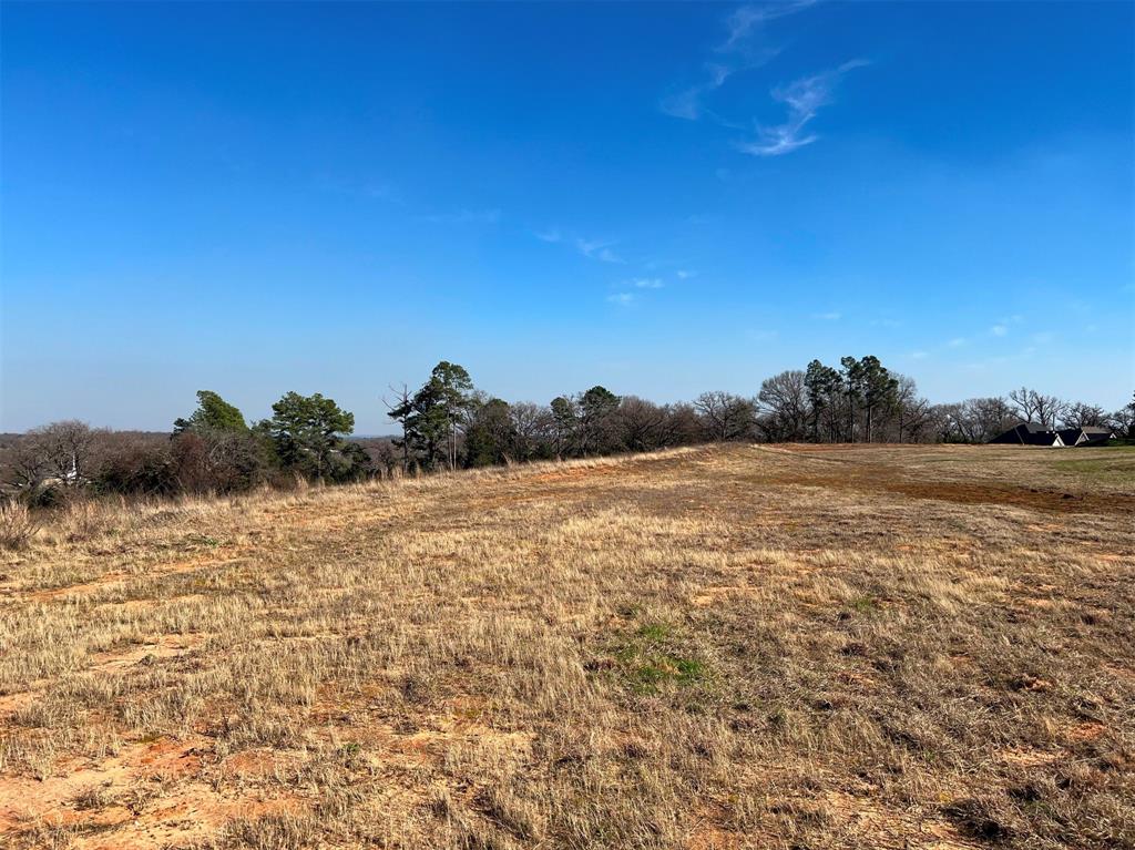 000 Liberty Street , Bullard, Texas image 11