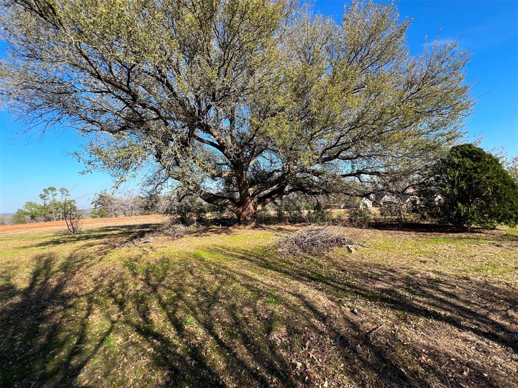 000 Liberty Street , Bullard, Texas image 6