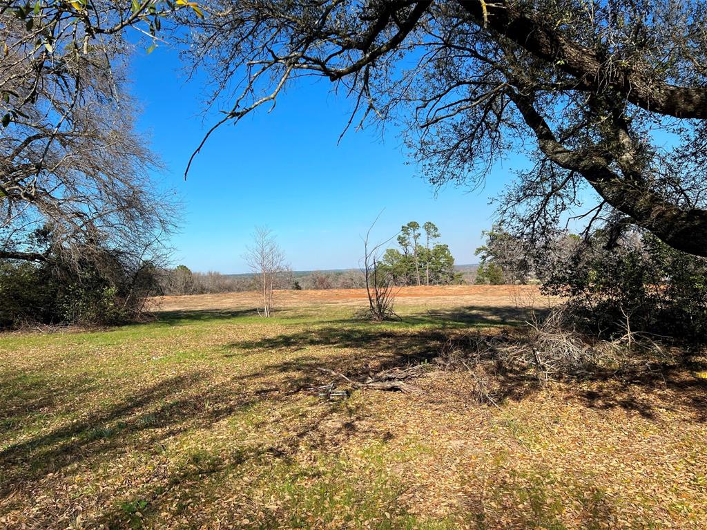 000 Liberty Street , Bullard, Texas image 8