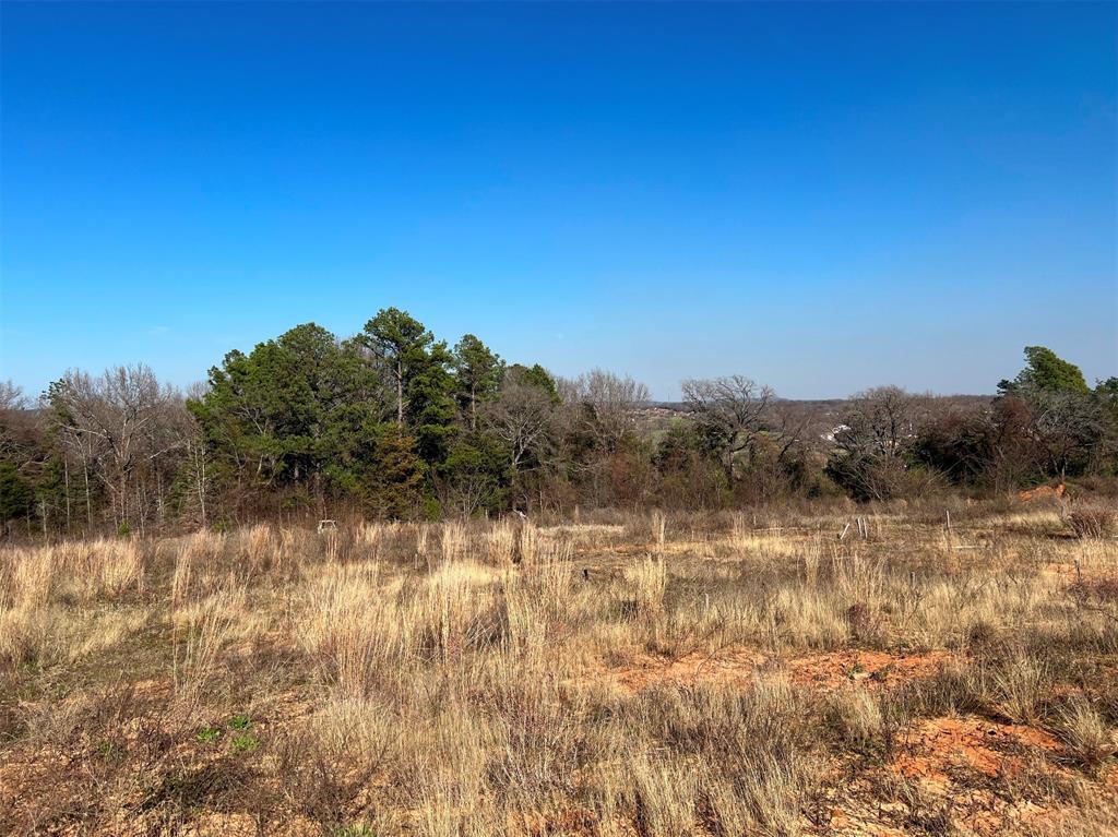 000 Liberty Street , Bullard, Texas image 9