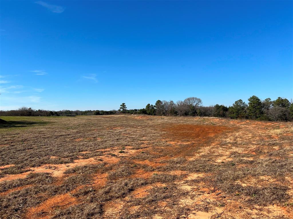 000 Liberty Street , Bullard, Texas image 10