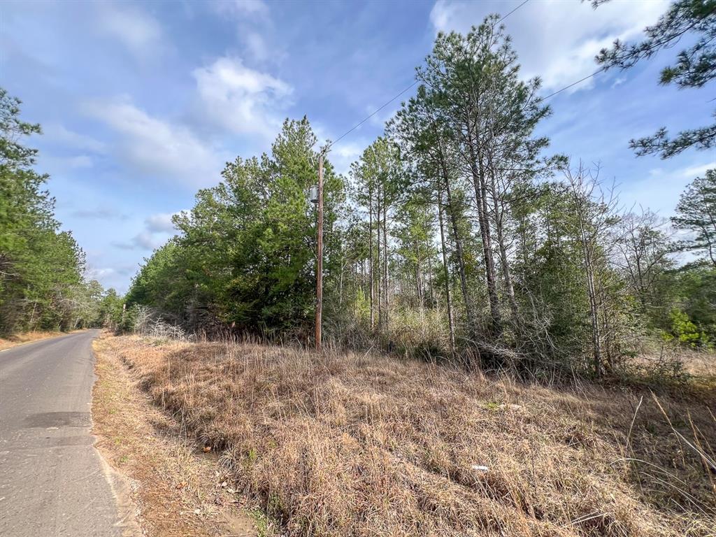 TBD Cr 366  , Zavalla, Texas image 15