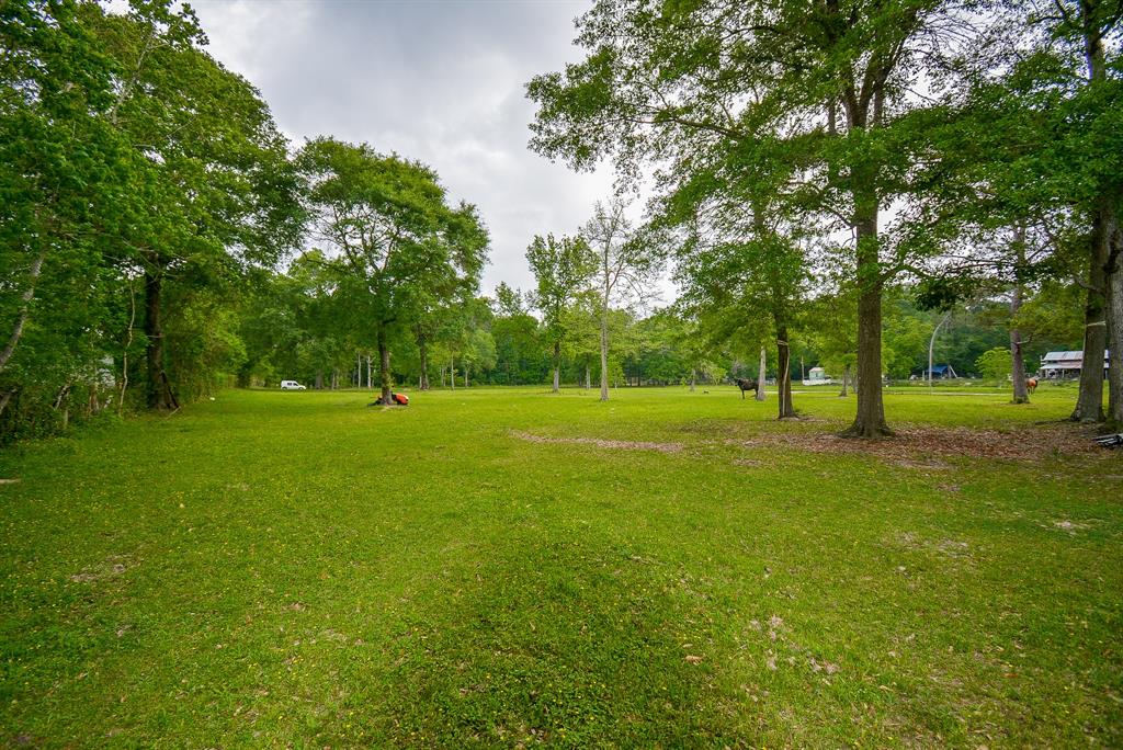 TBD Lake  , Splendora, Texas image 11