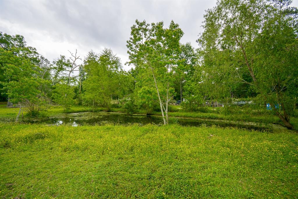 TBD Lake  , Splendora, Texas image 16