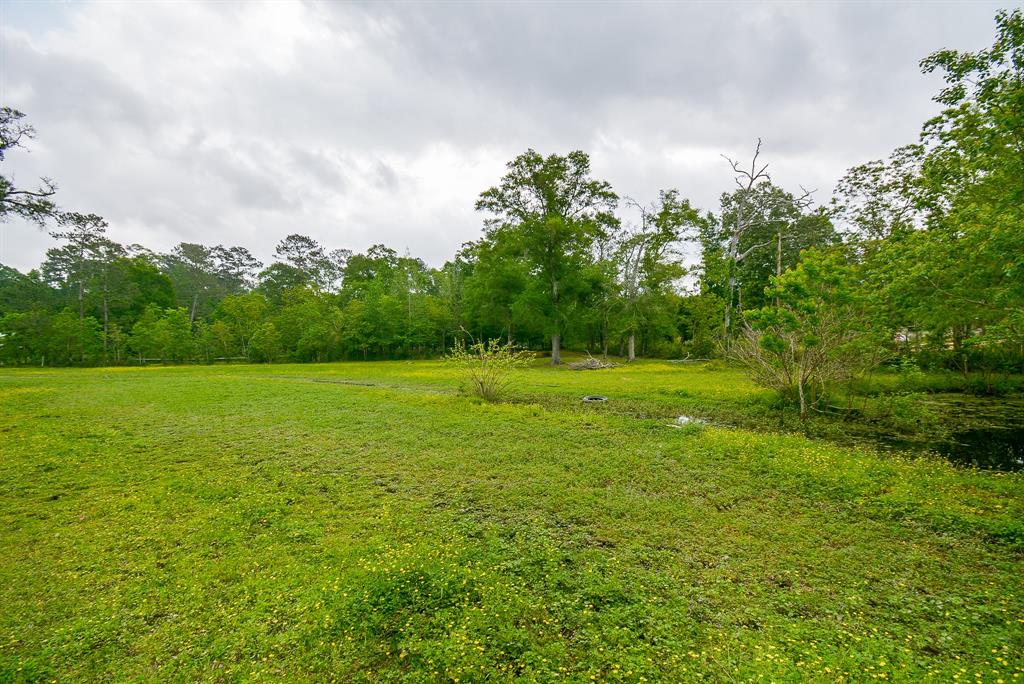 TBD Lake  , Splendora, Texas image 19