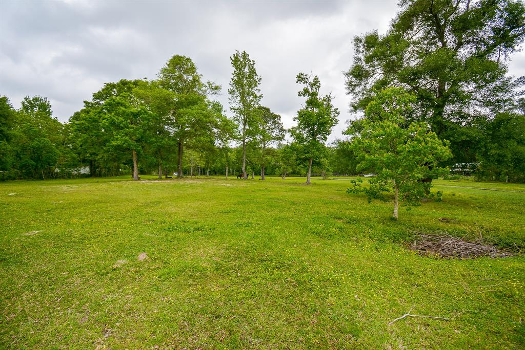 TBD Lake  , Splendora, Texas image 21