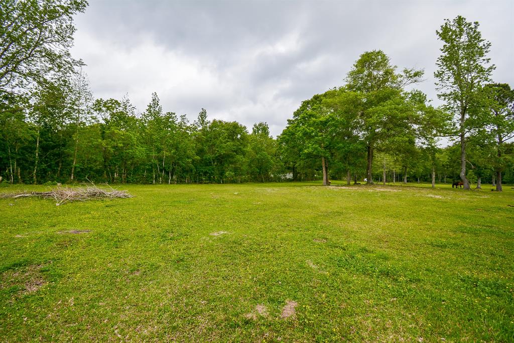 TBD Lake  , Splendora, Texas image 22