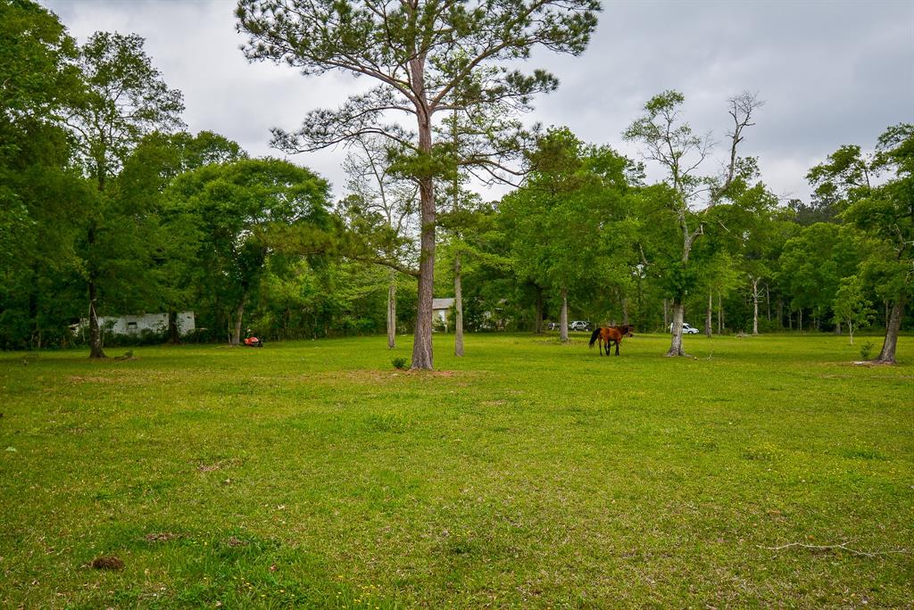 TBD Lake  , Splendora, Texas image 24