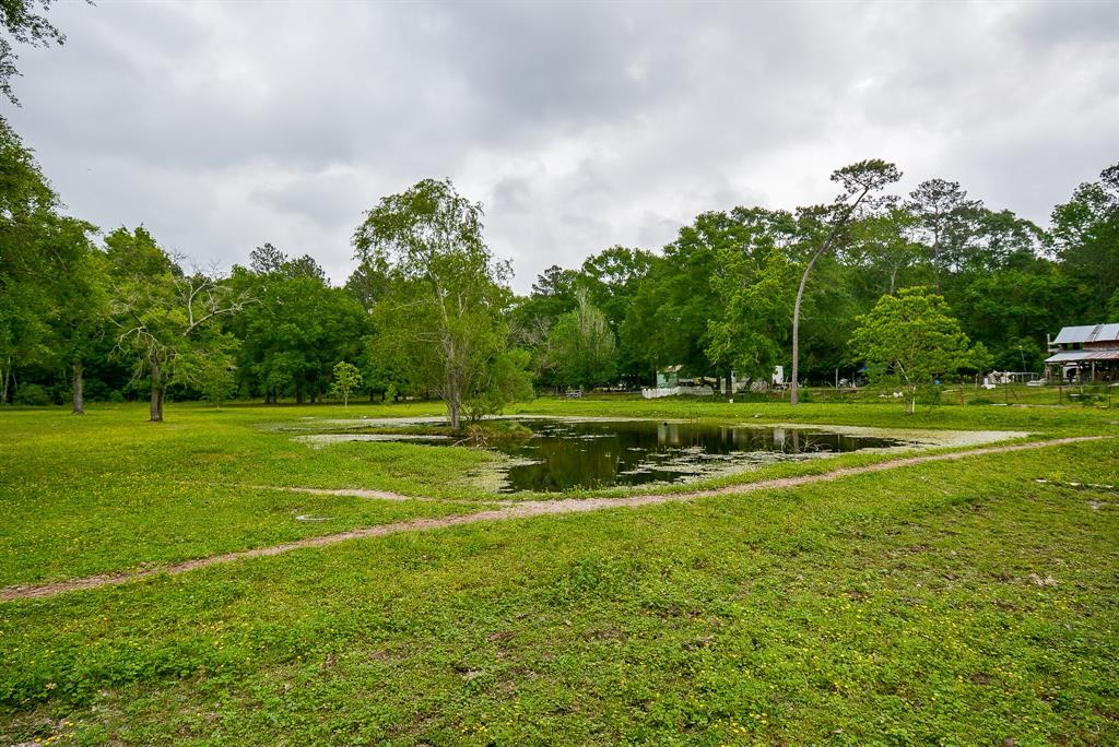 TBD Lake  , Splendora, Texas image 25