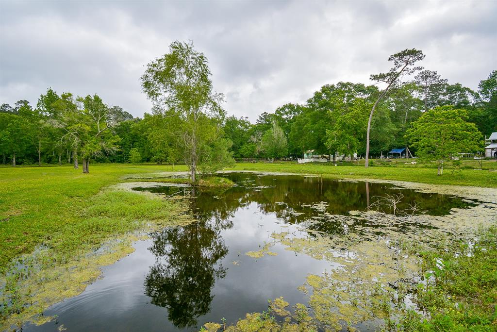 TBD Lake  , Splendora, Texas image 26